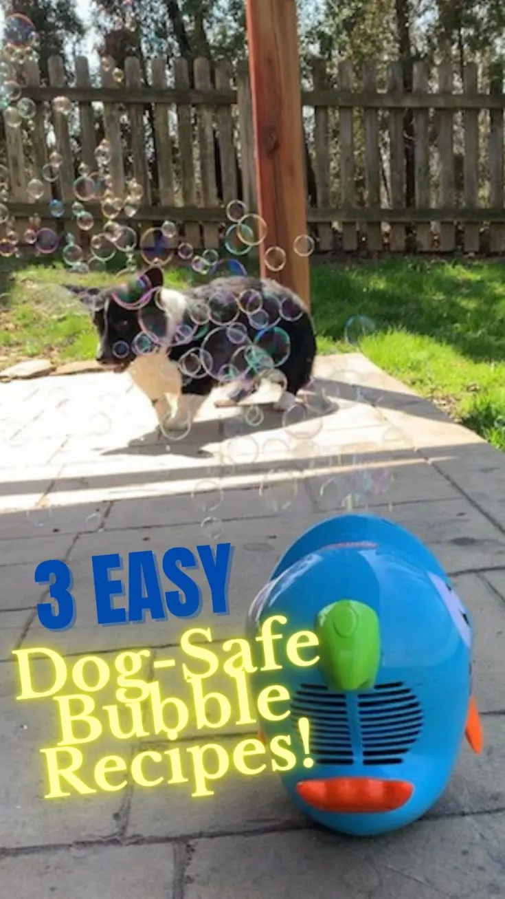 3 easy dog safe bubble recipes