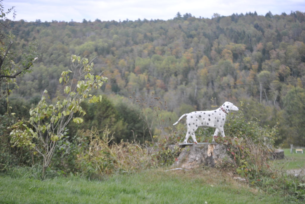 Beautiful fall view ontop of Dog Mountain in Vermont