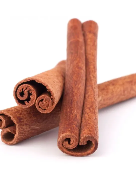 are cinnamon sticks bad for dogs