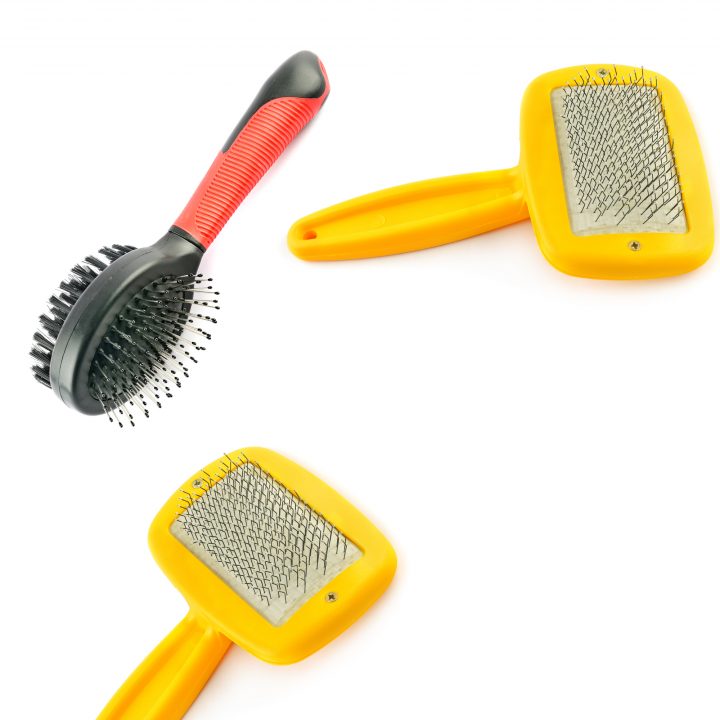 slicker brush for newfoundlands