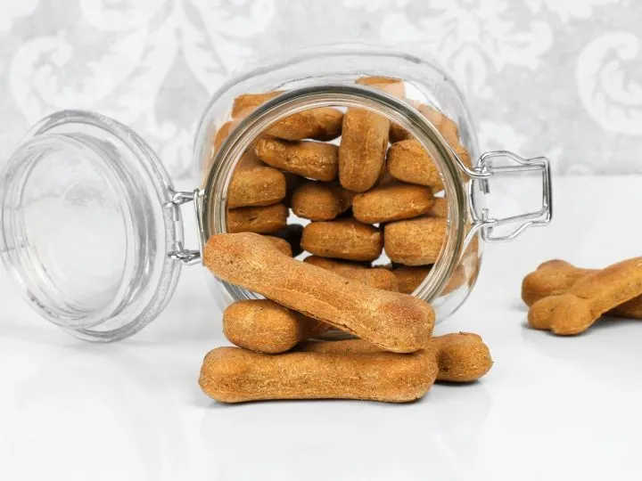 homemade pumpkin dog treats made with canned pumpkin