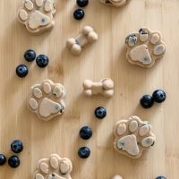 frozen banana blueberry dog treat