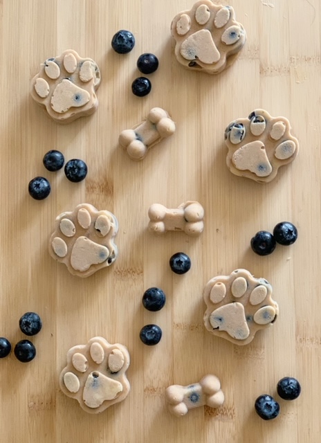 frozen banana blueberry dog treat