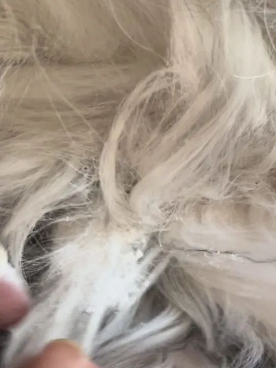 how to remove a small mat from dog hair