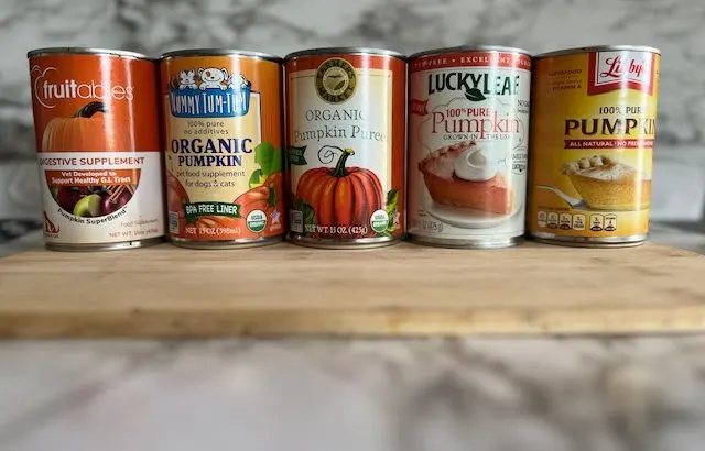 best type of canned pumpkin for dogs