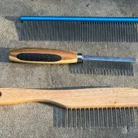 best dog combs