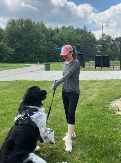 training a big dog to walk good on a leash