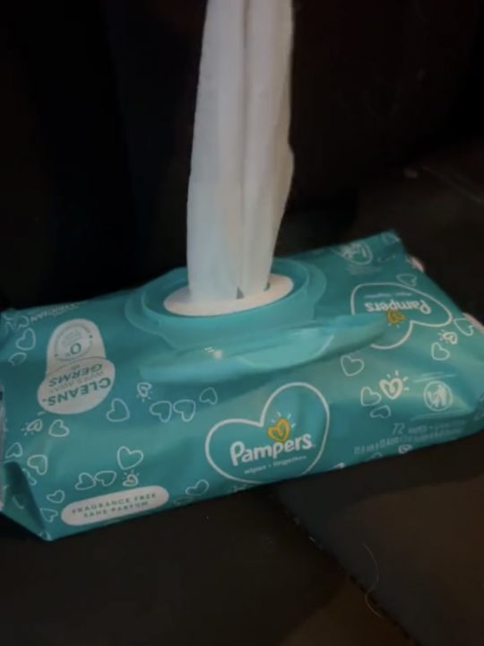 baby wipes to remove dog drool on car seat