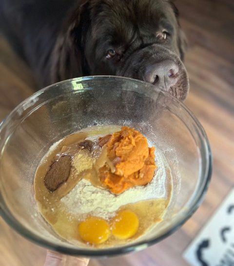 ingredients for homemade peanut butter and pumpkin dog treat recipe