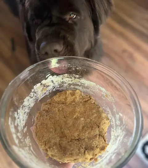 simple homemade dog treat ingredients in a large bowl