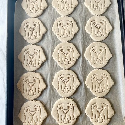 homemade dog biscuits on a parchment lined baking sheet