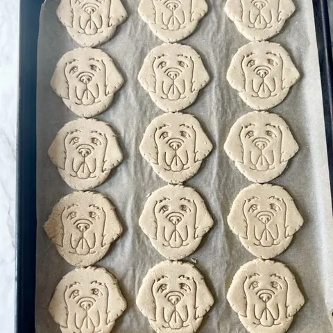 homemade dog biscuits on a parchment lined baking sheet