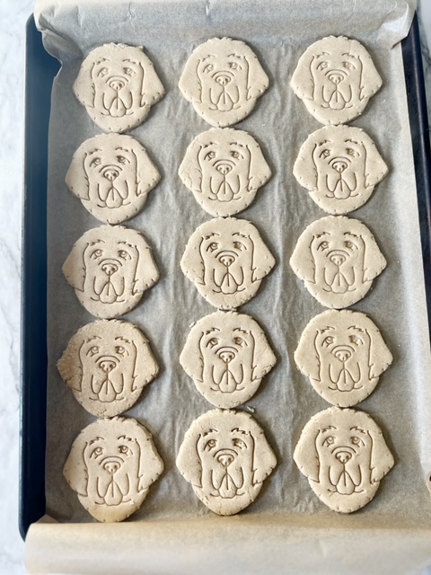 homemade dog biscuits on a parchment lined baking sheet 