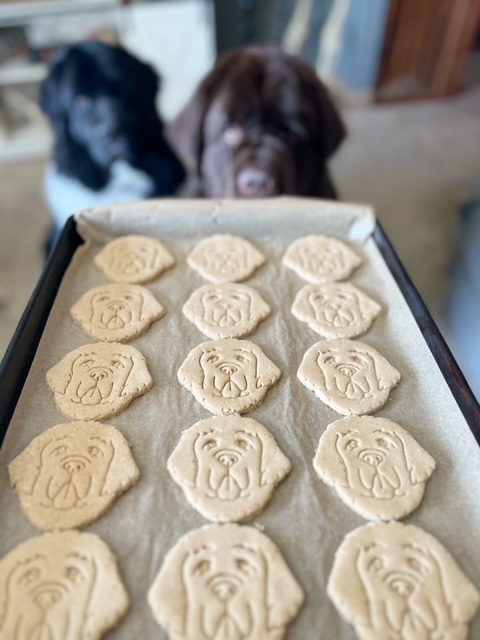 homemade baked oat flour and applesauce dog treats on a parchment lined baking sheet