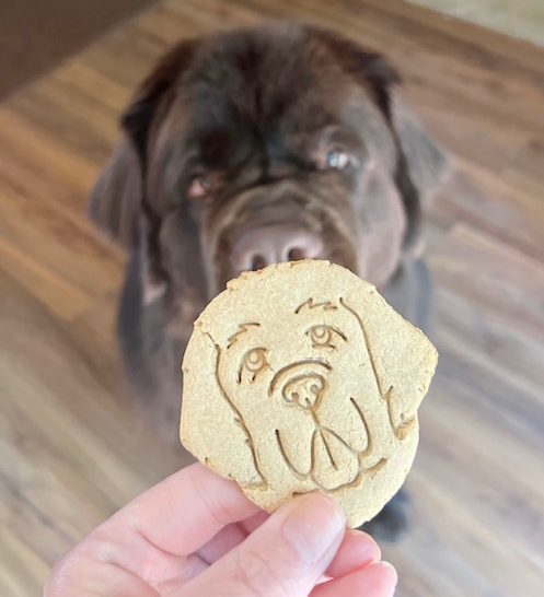 big dog drooling for homemade apple dog treat