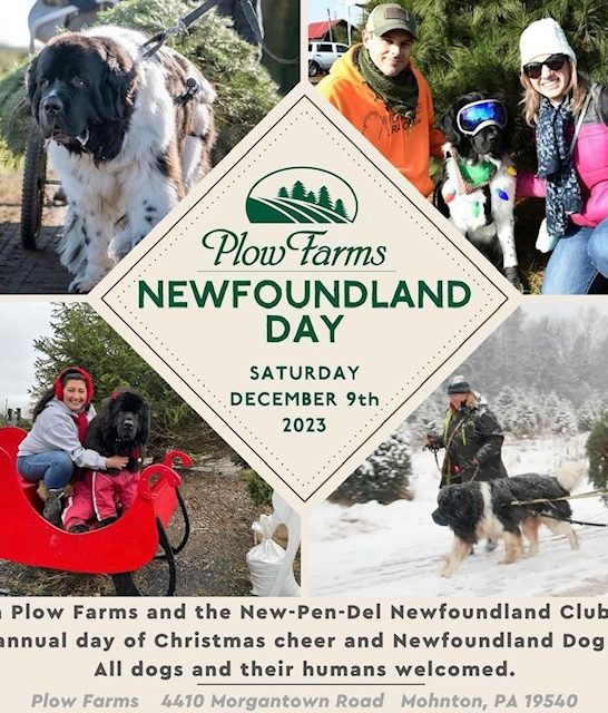 Plow Farms Newfoundland Day