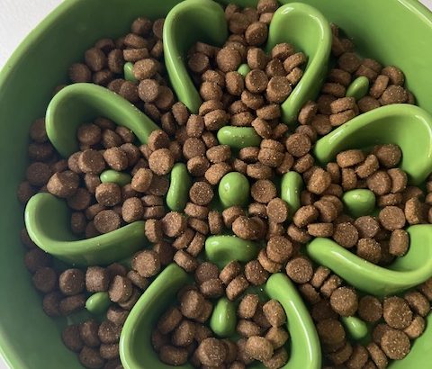 Victo dog food in a slow-feeder bowl