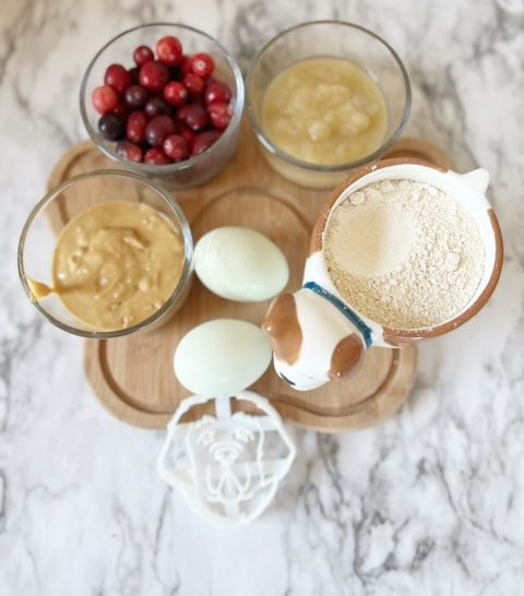 ingredients for homemade cranberry dog treats