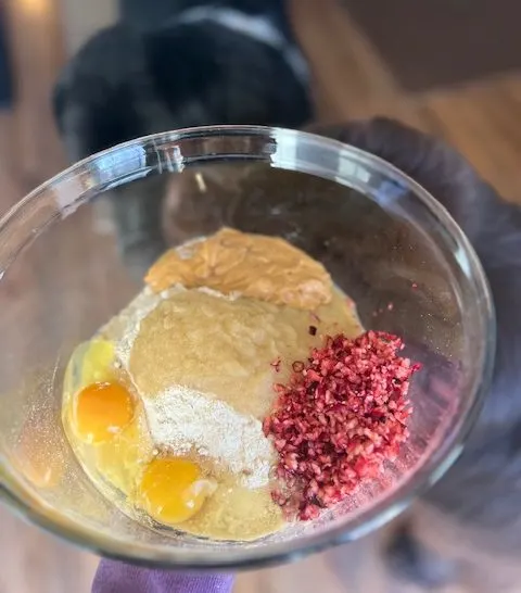 ingredients for homemade cranberry dog treats