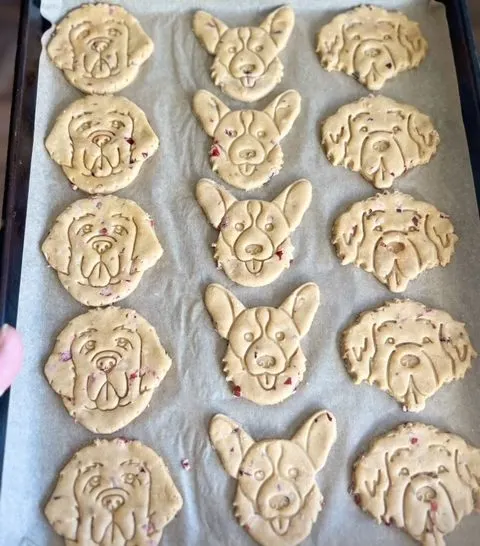 homemade dog treats on a parchment lined baking sheet