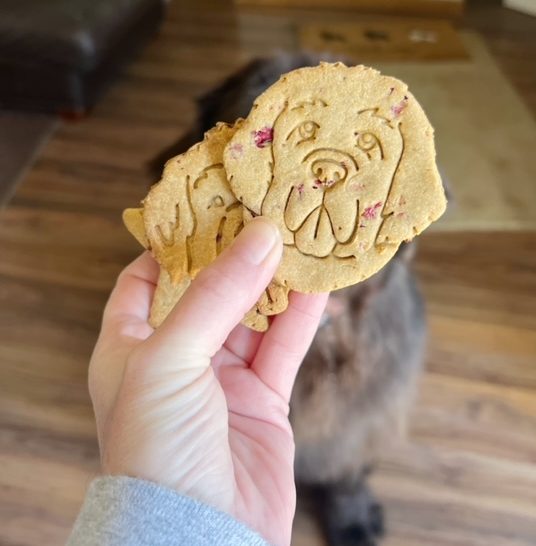 homemade cranberry peanut butter dog treats