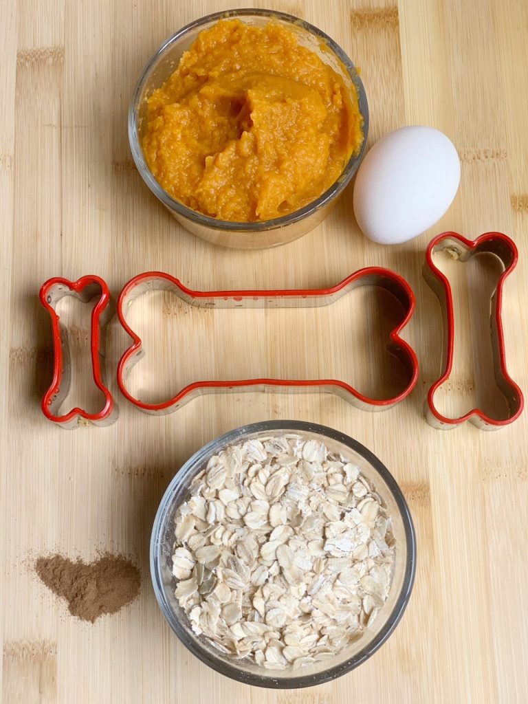 Old Fashioned Oatmeal Pumpkin Dog Treat Recipe