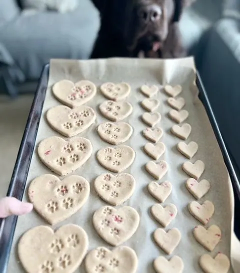 homemade heart dog treats