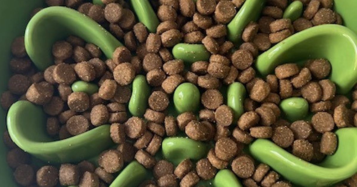 Victor dog food recall