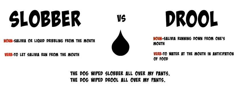 dog slobber vs dog drool