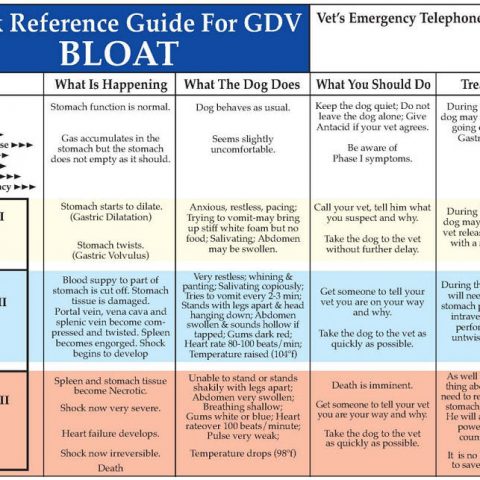  Bloat Chart