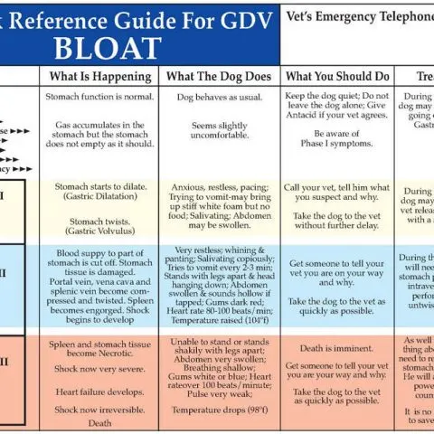  Bloat Chart