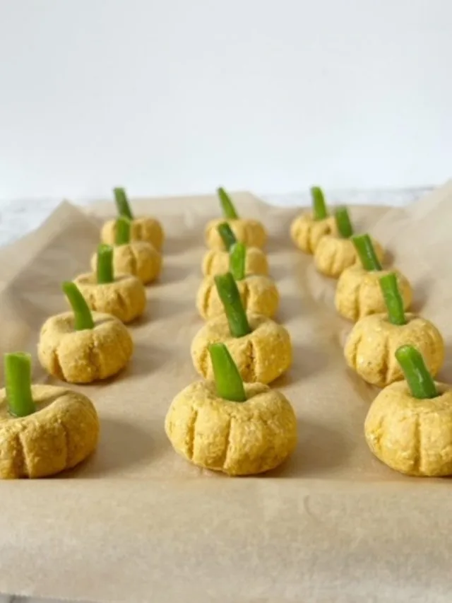 No-Bake Pumpkin Dog Treats