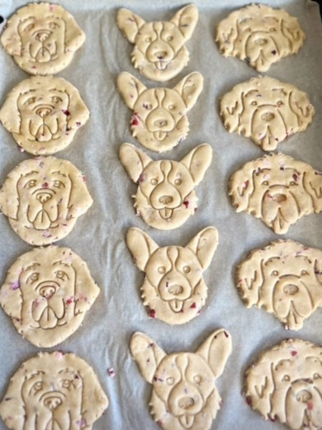 homemade cranberry peanut butter dog treats