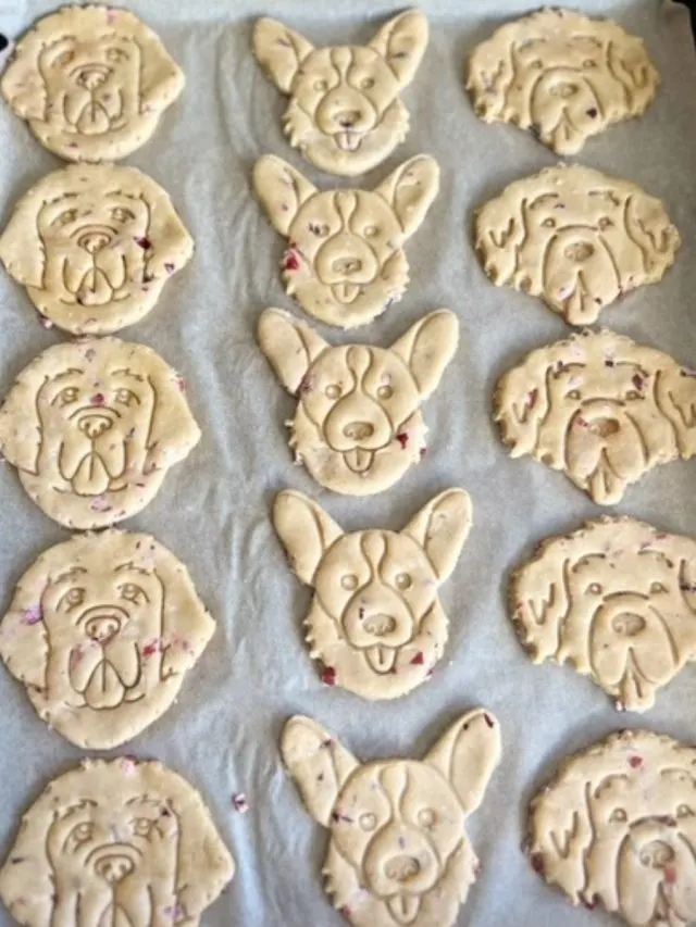 Homemade Cranberry Dog Treats