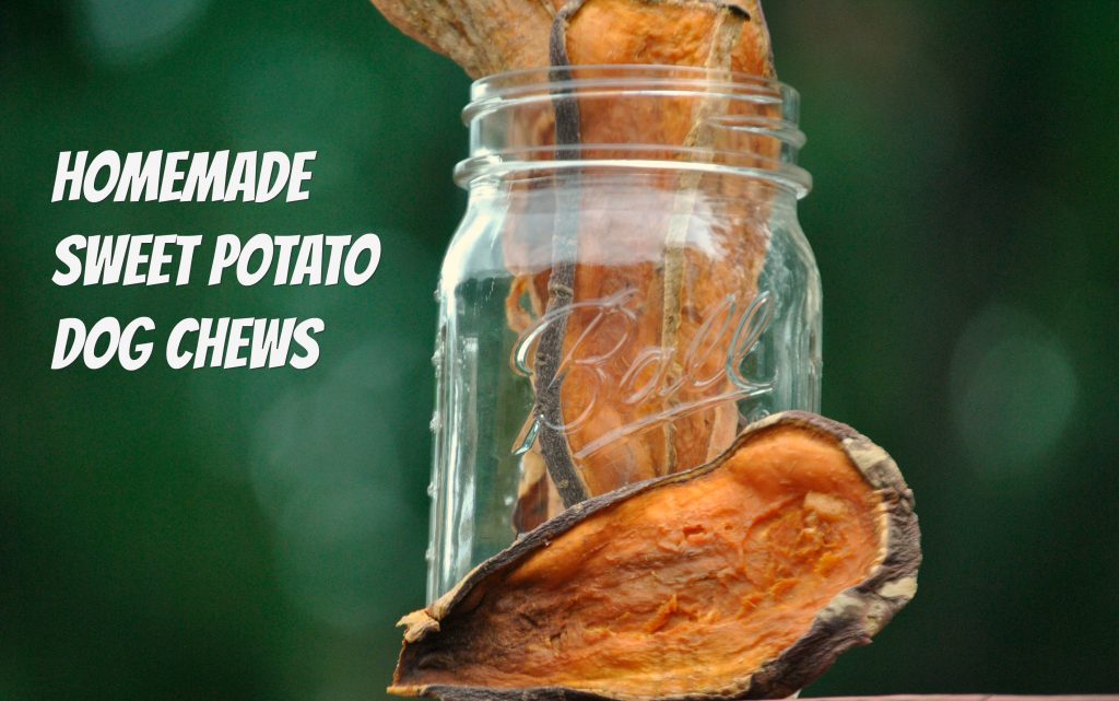 Easy to make dehydrated sweet potato chews for dogs