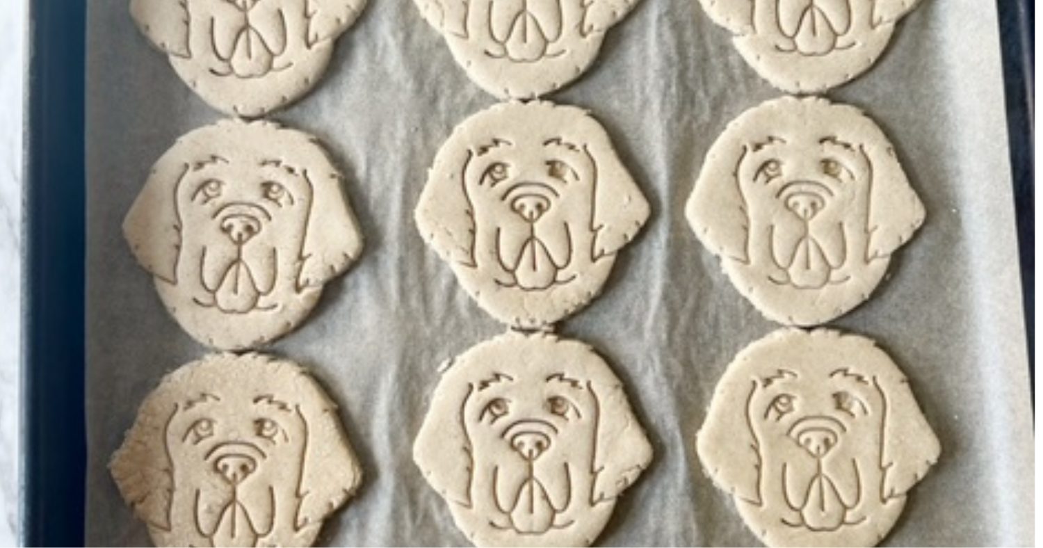 ingredients for oat flour and apple dog treats