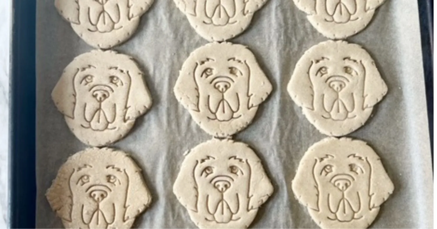 ingredients for oat flour and apple dog treats